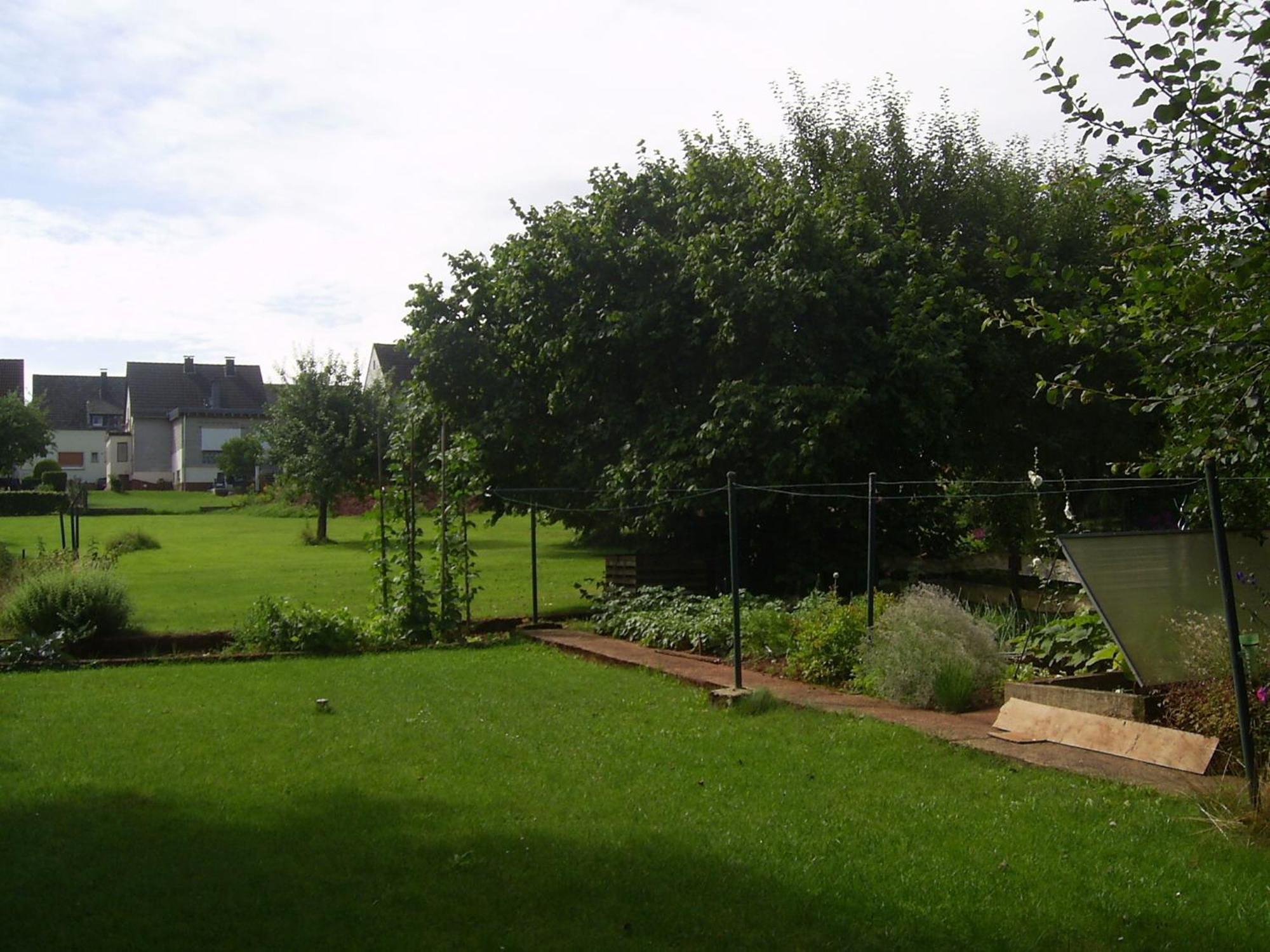 Eifelferienhaus Thome Lissendorf 外观 照片